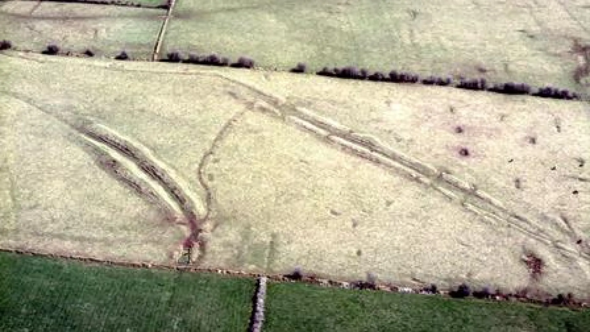 An aerial view of a grassy field with two parallel trenches visible, indicating an archaeological site or ancient structure.