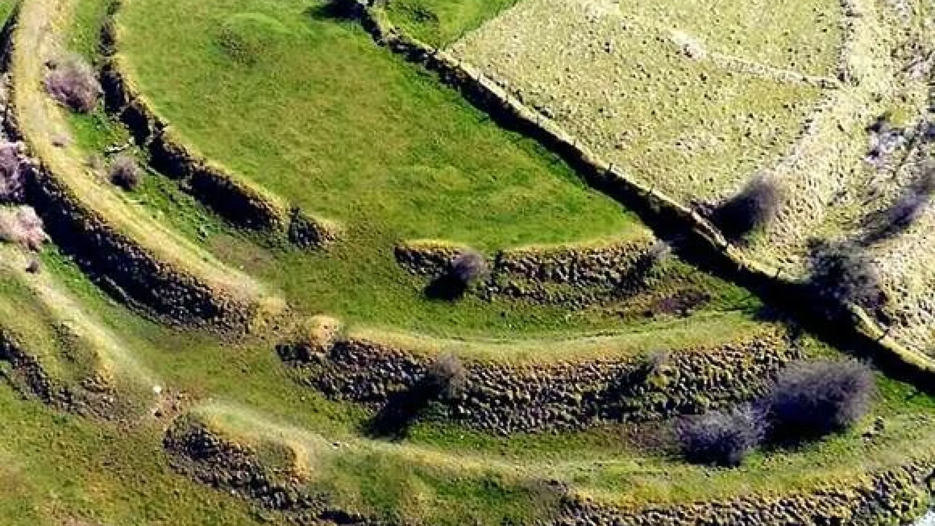 multivallate_ringfort_at_rathrar_-rathbarna_enclosure_complex-_co_roscommon-_ireland.jpg